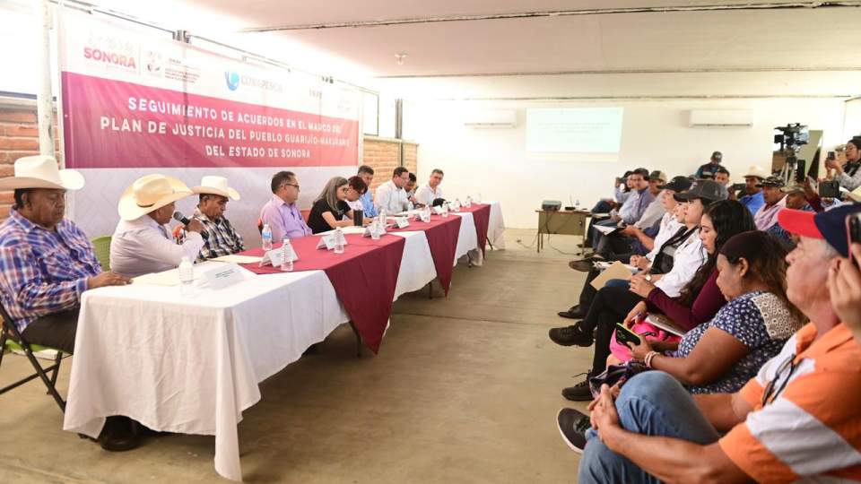 Gobierno de Sonora fortalece desarrollo económico con pesca de tilapia en presa Pilares